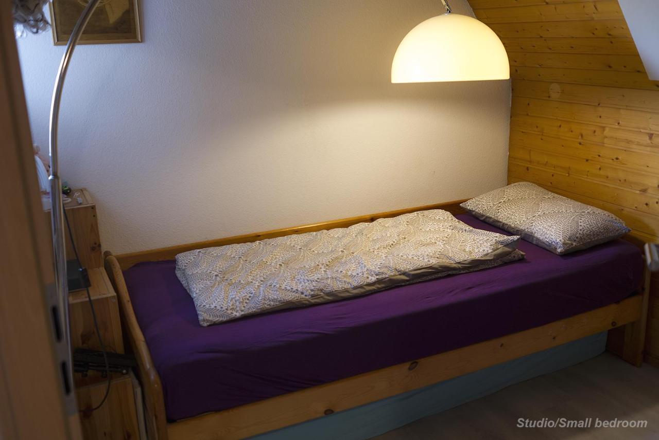 71 Square Meters Condo In Schwarzwald With Beautiful Mountain View, Free Wifi Schönwalde Esterno foto