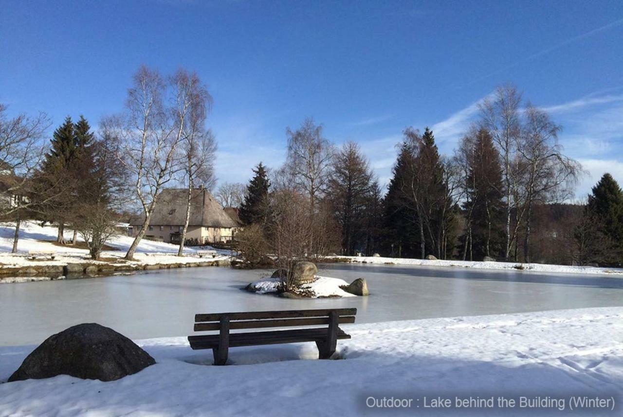 71 Square Meters Condo In Schwarzwald With Beautiful Mountain View, Free Wifi Schönwalde Esterno foto